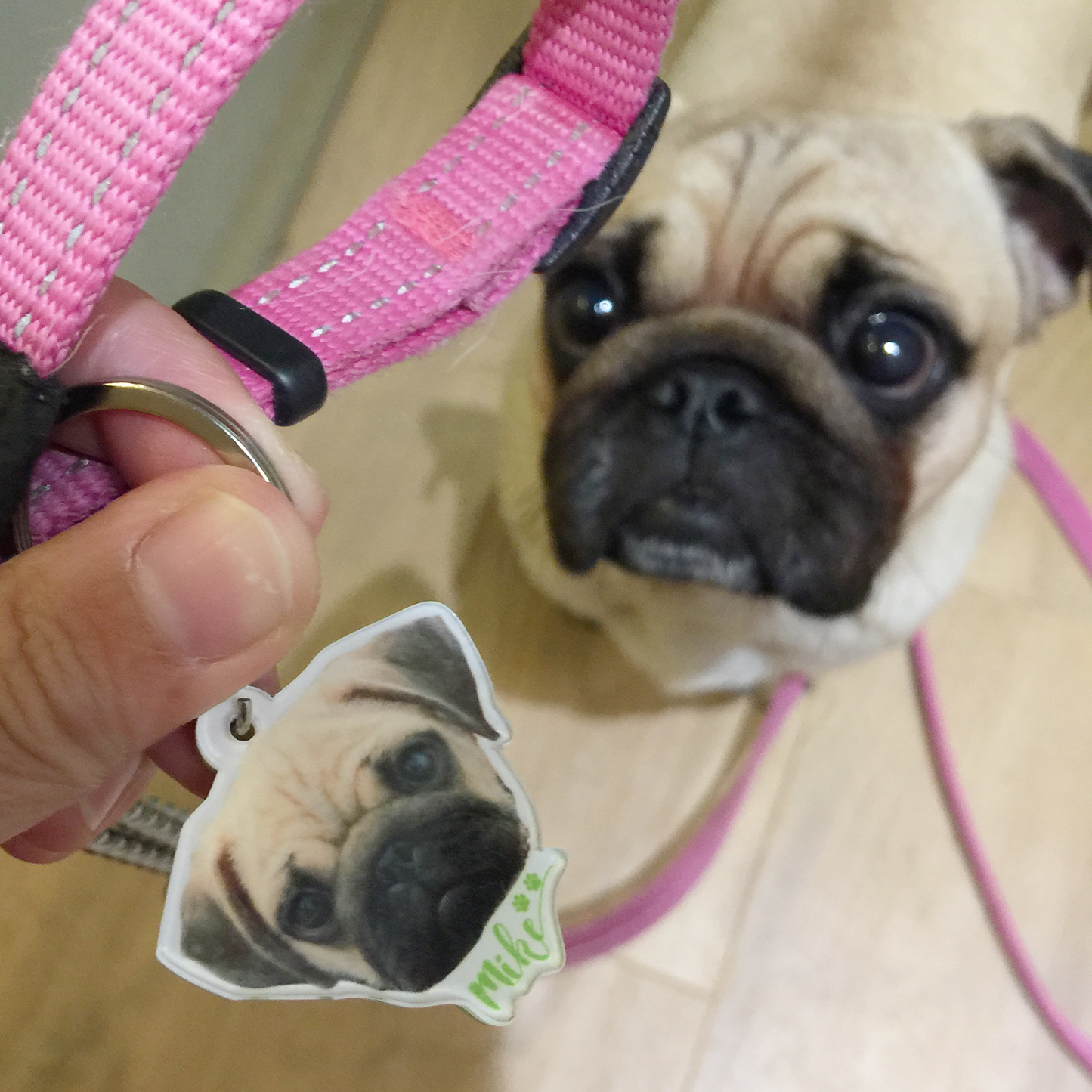 Customized Key Rings Charms Pet Brands Customized